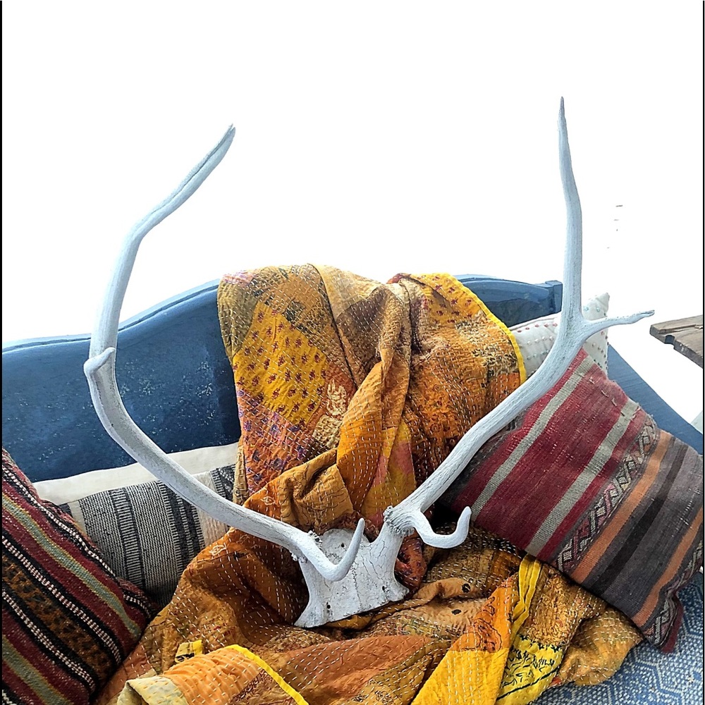 HOLD Vintage | Boho Deer Antler Rack Decor - Picture 8 of 16